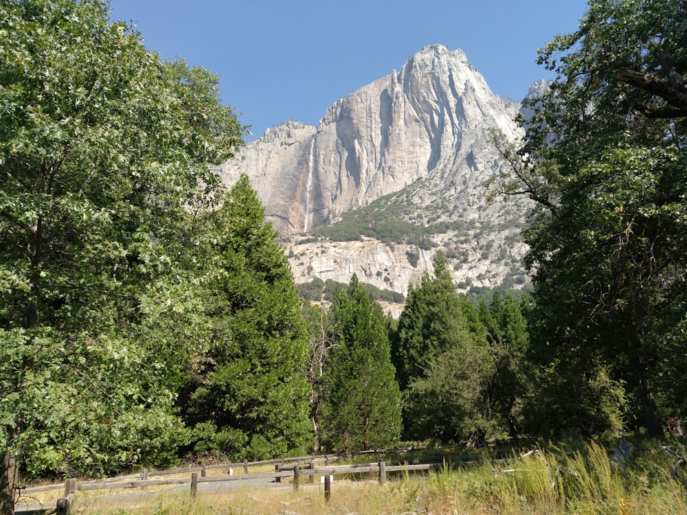 a view of a mountain from a wooded area