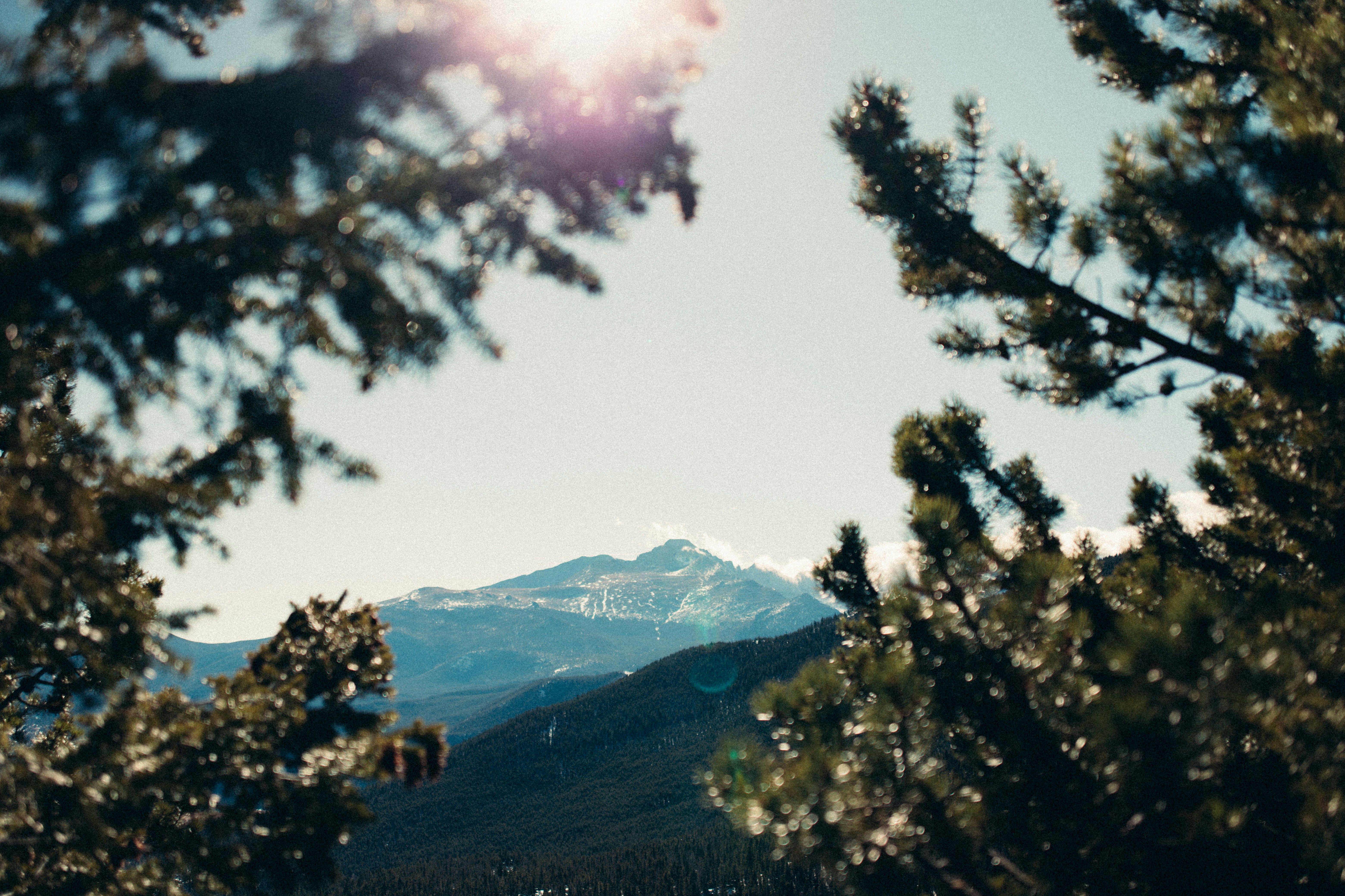 Photo by shotbyjohnny