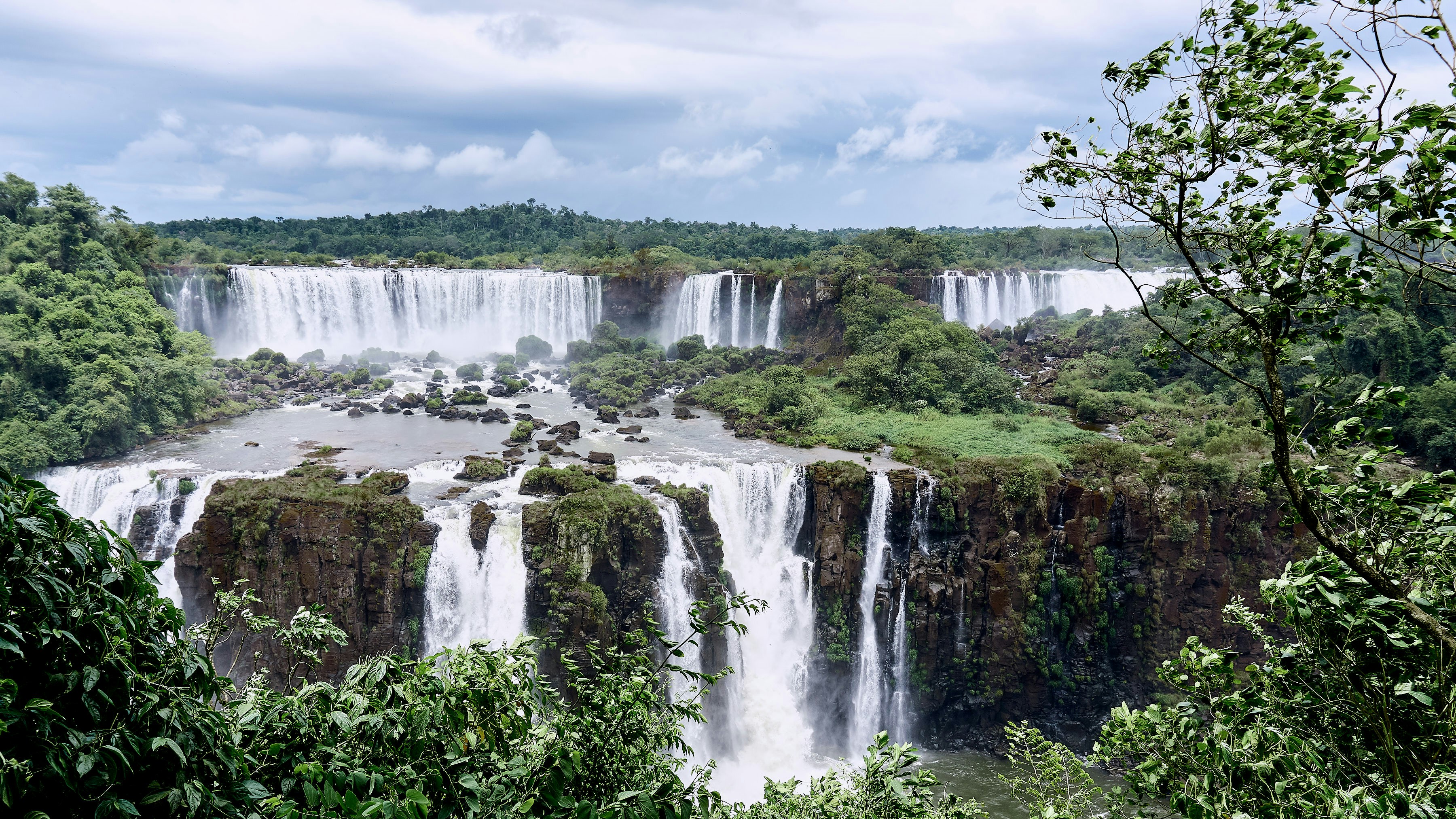 waterfalls surrounded by trees