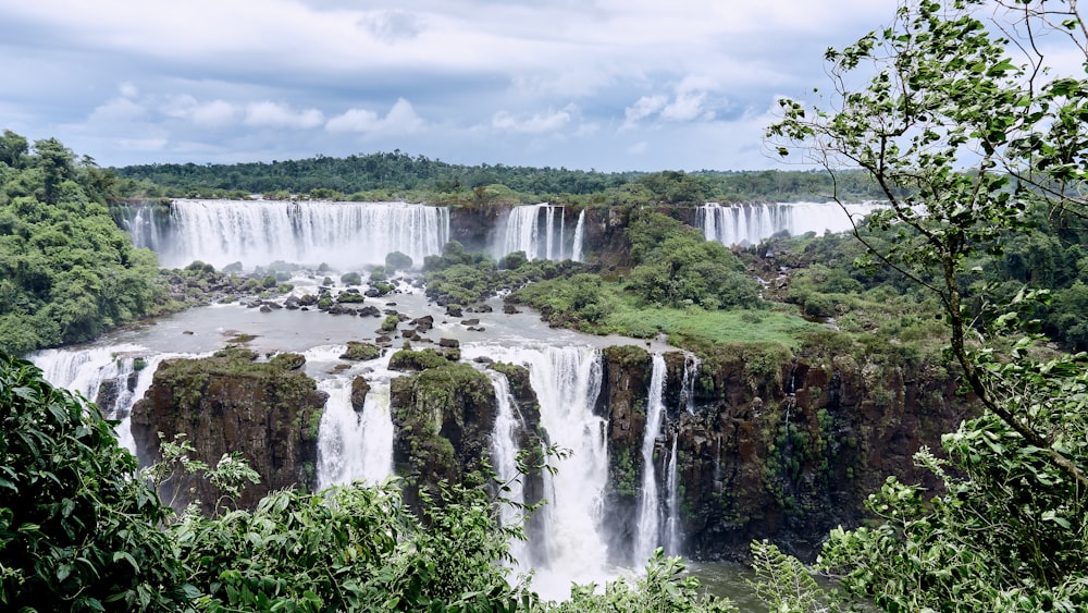 waterfalls surrounded by trees