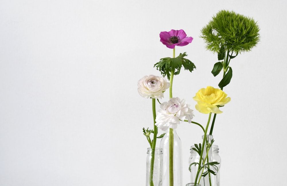 four assorted-color flowers