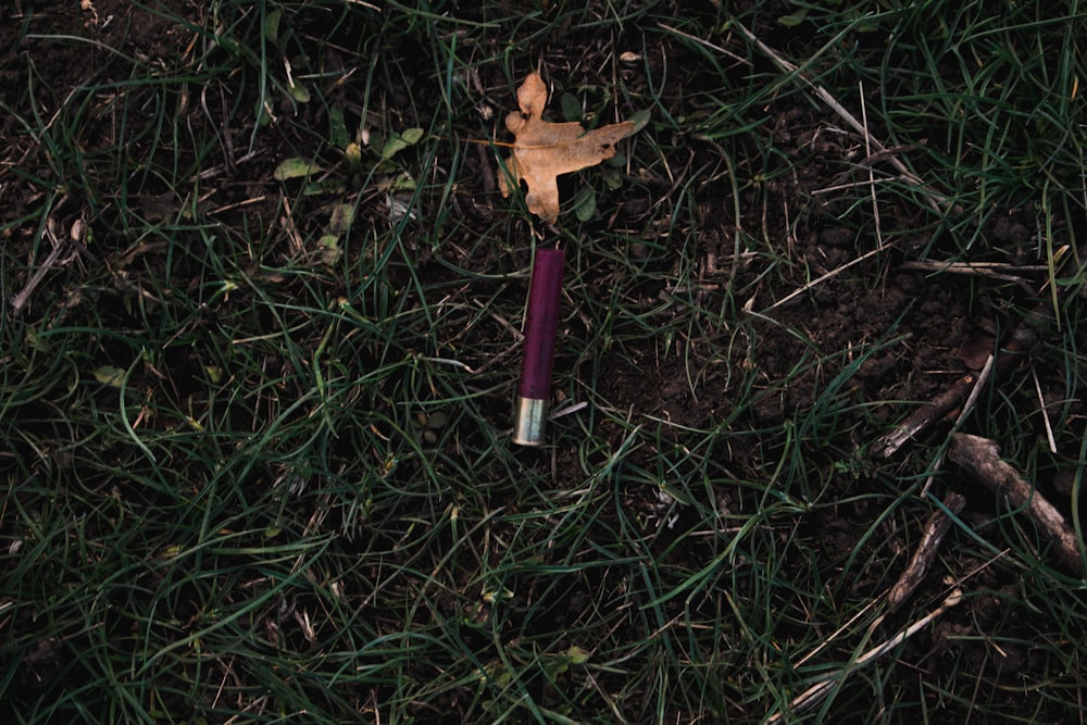 Componente granate y plateado sobre hierba