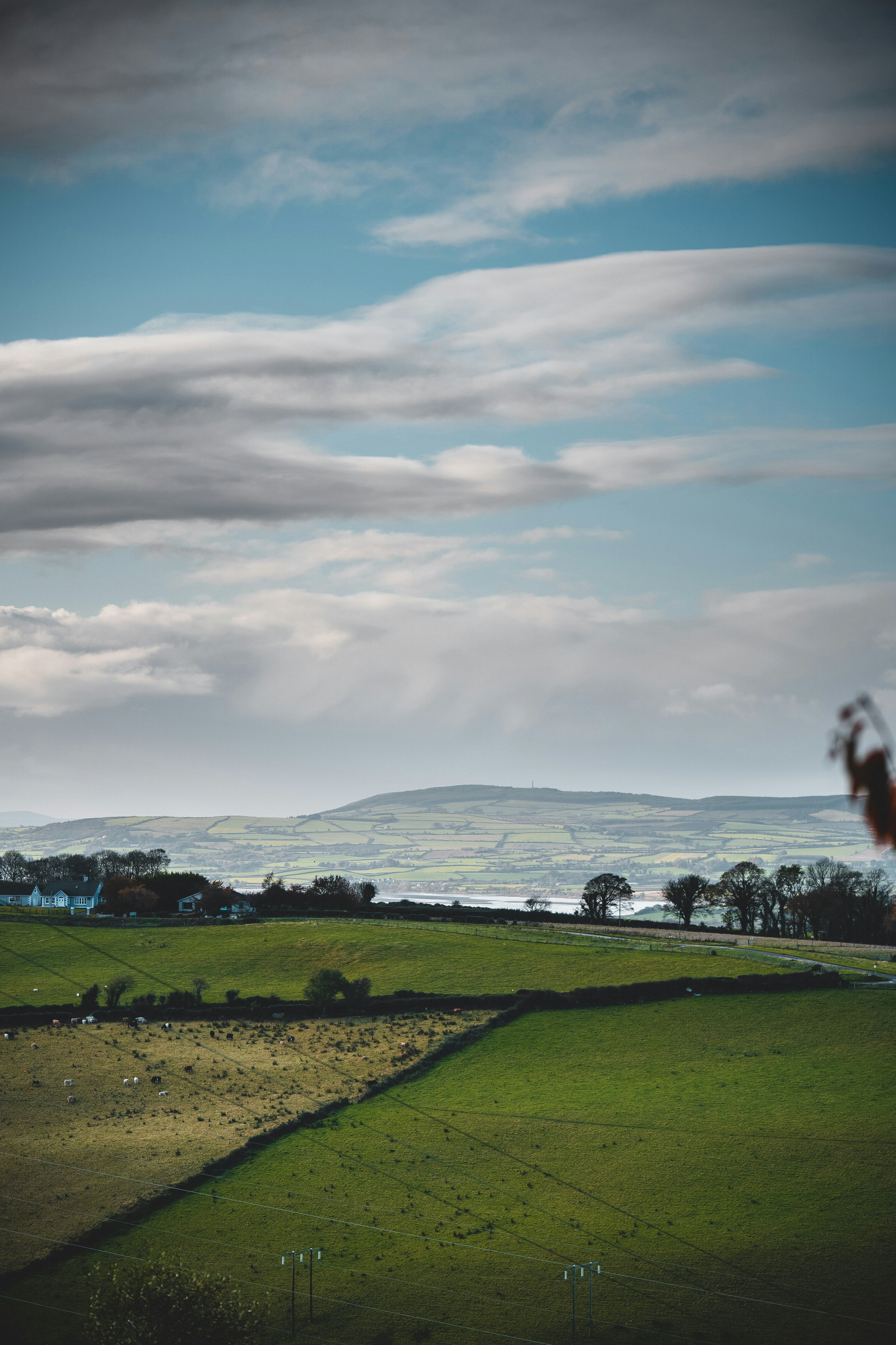 green field under cloudy sky