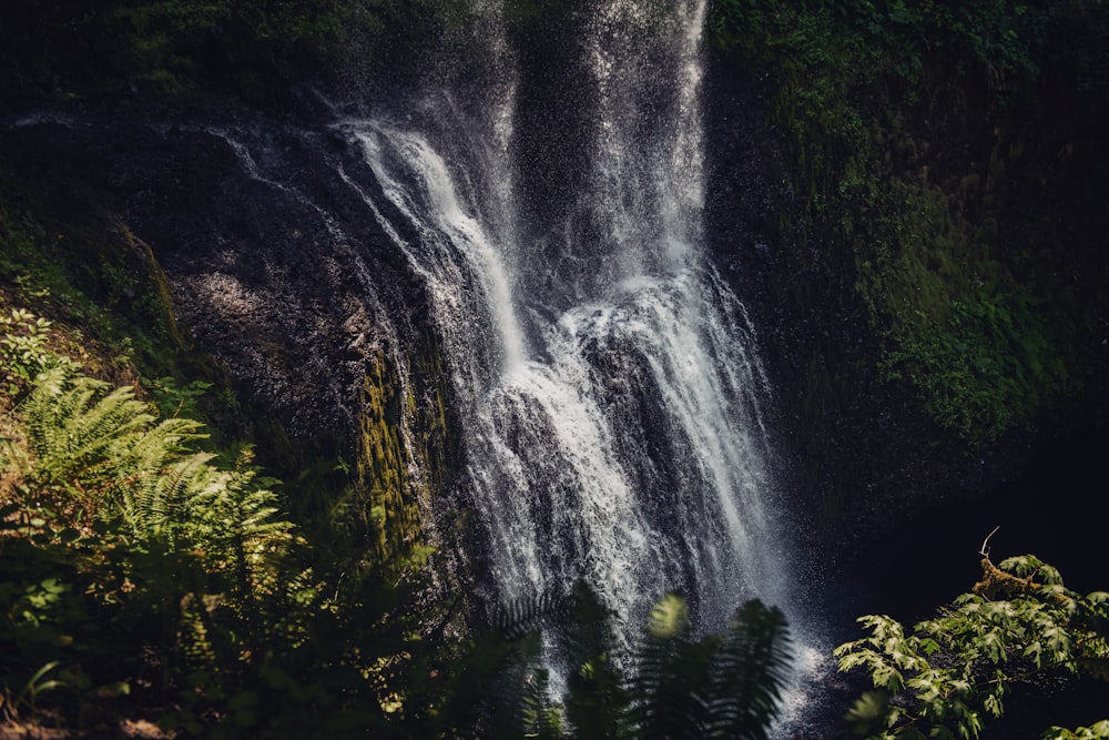 waterfalls during daytime