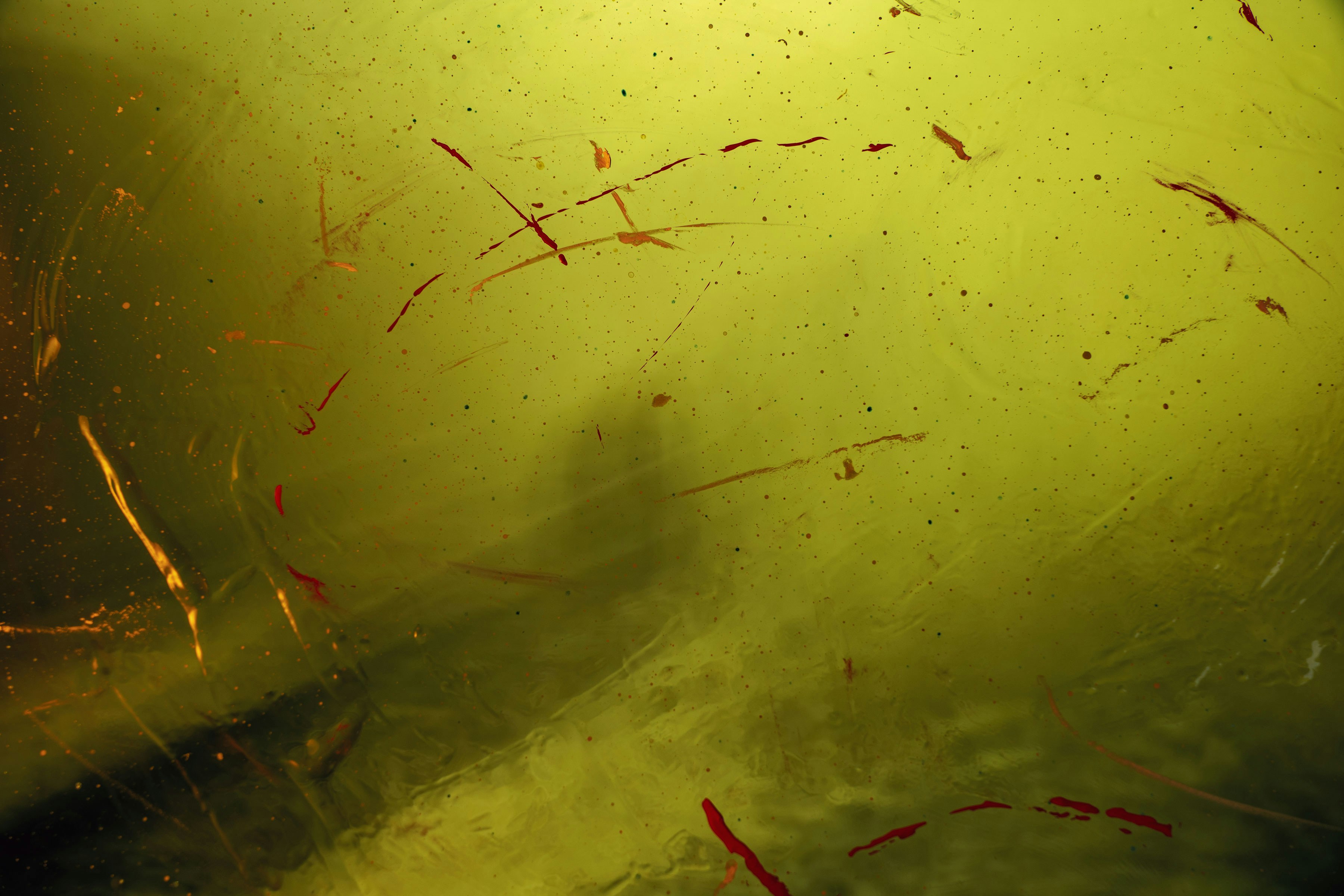 The Architecture of Social Reality Construction