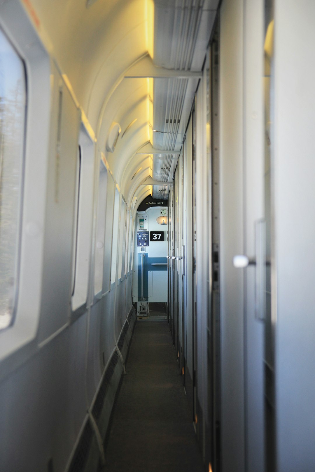 train hallway beside window