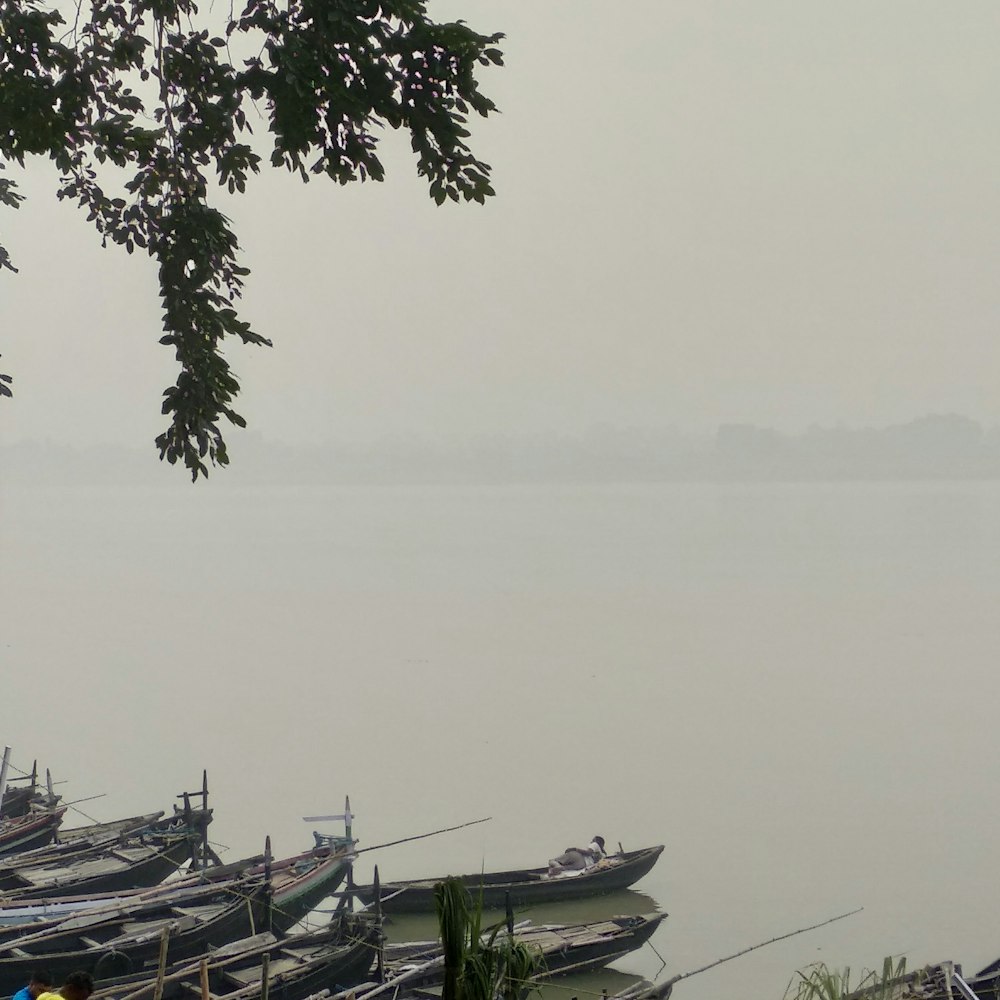 several boats on body of water