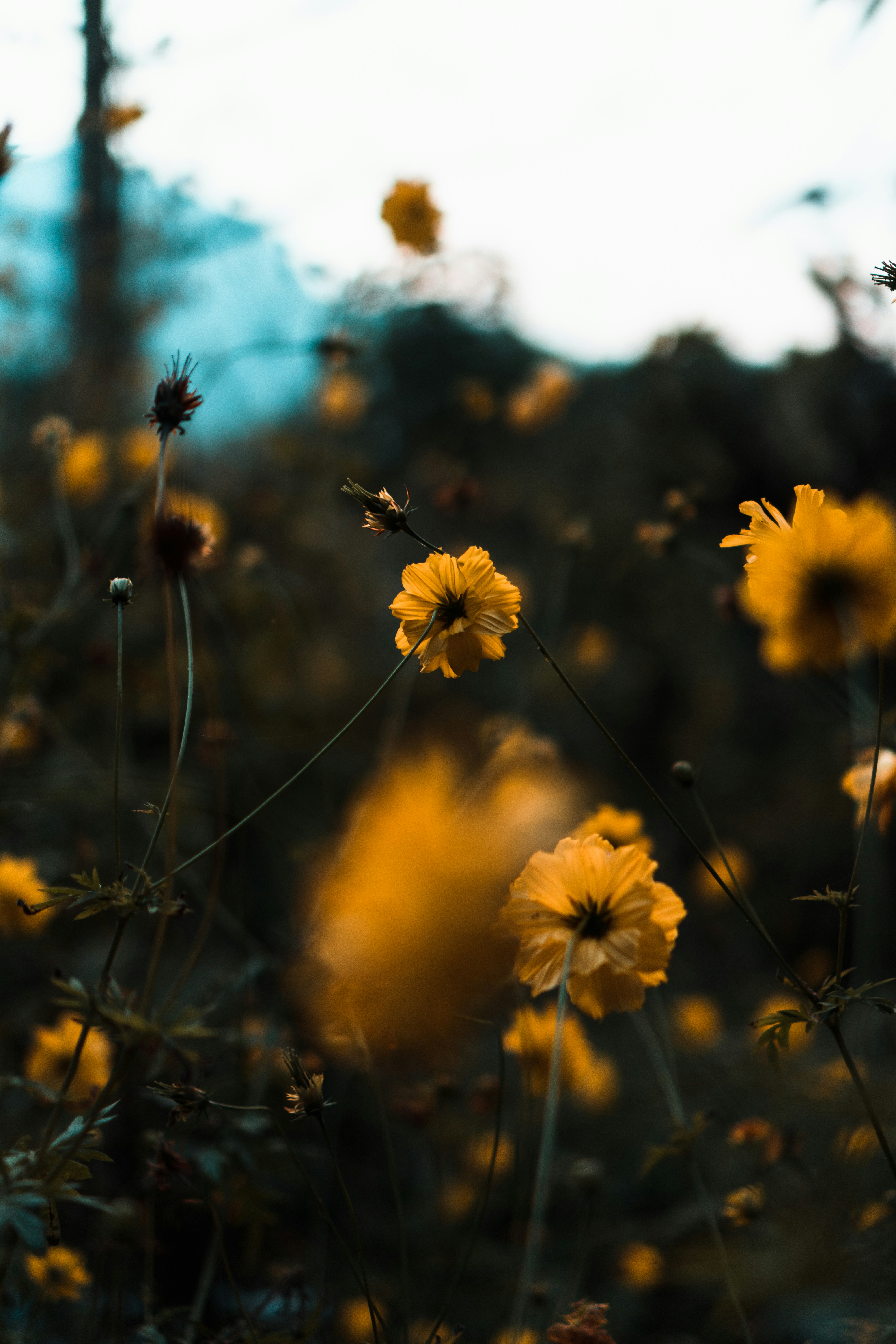 Photo by prateekkatyal