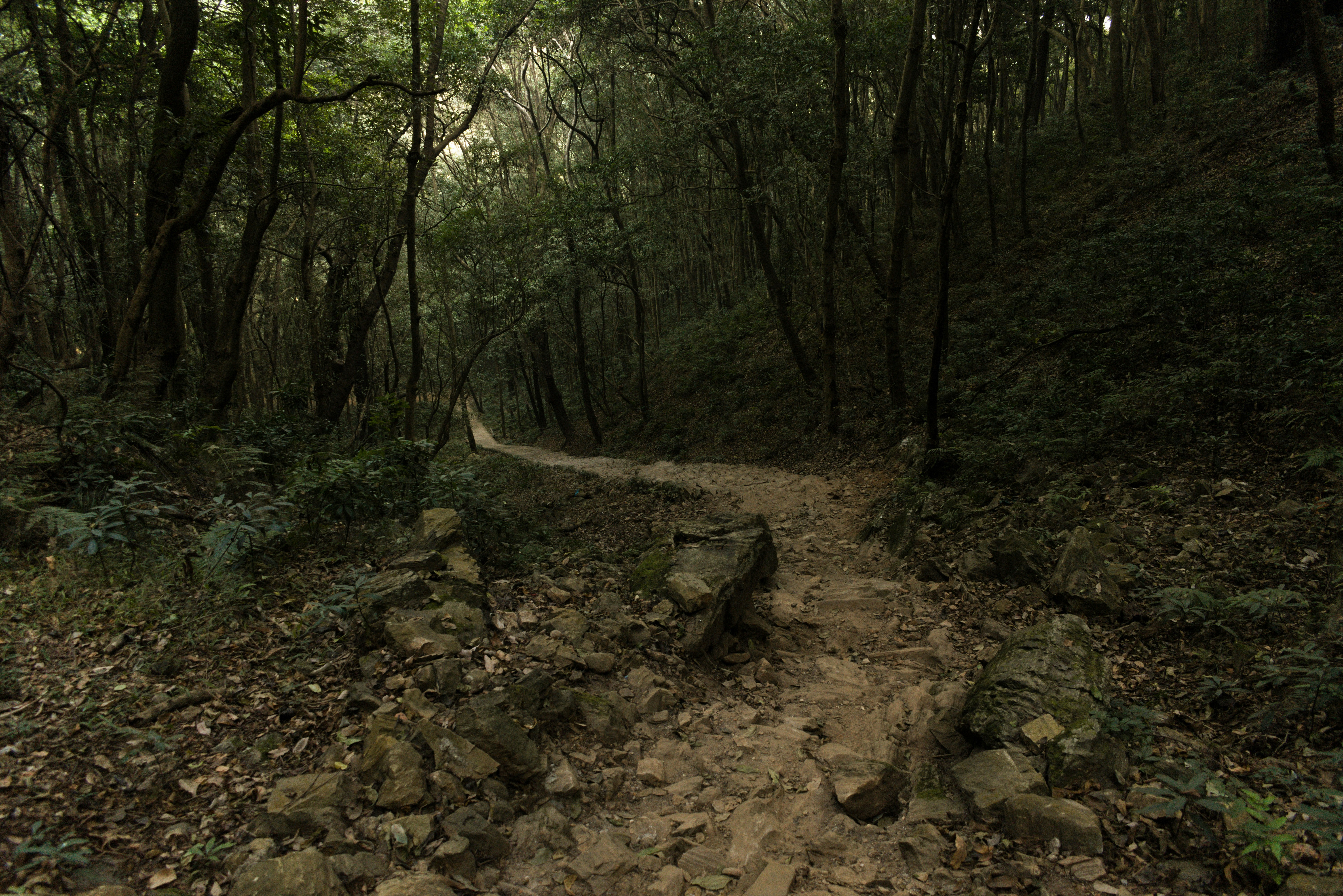 Photo by apokhrel