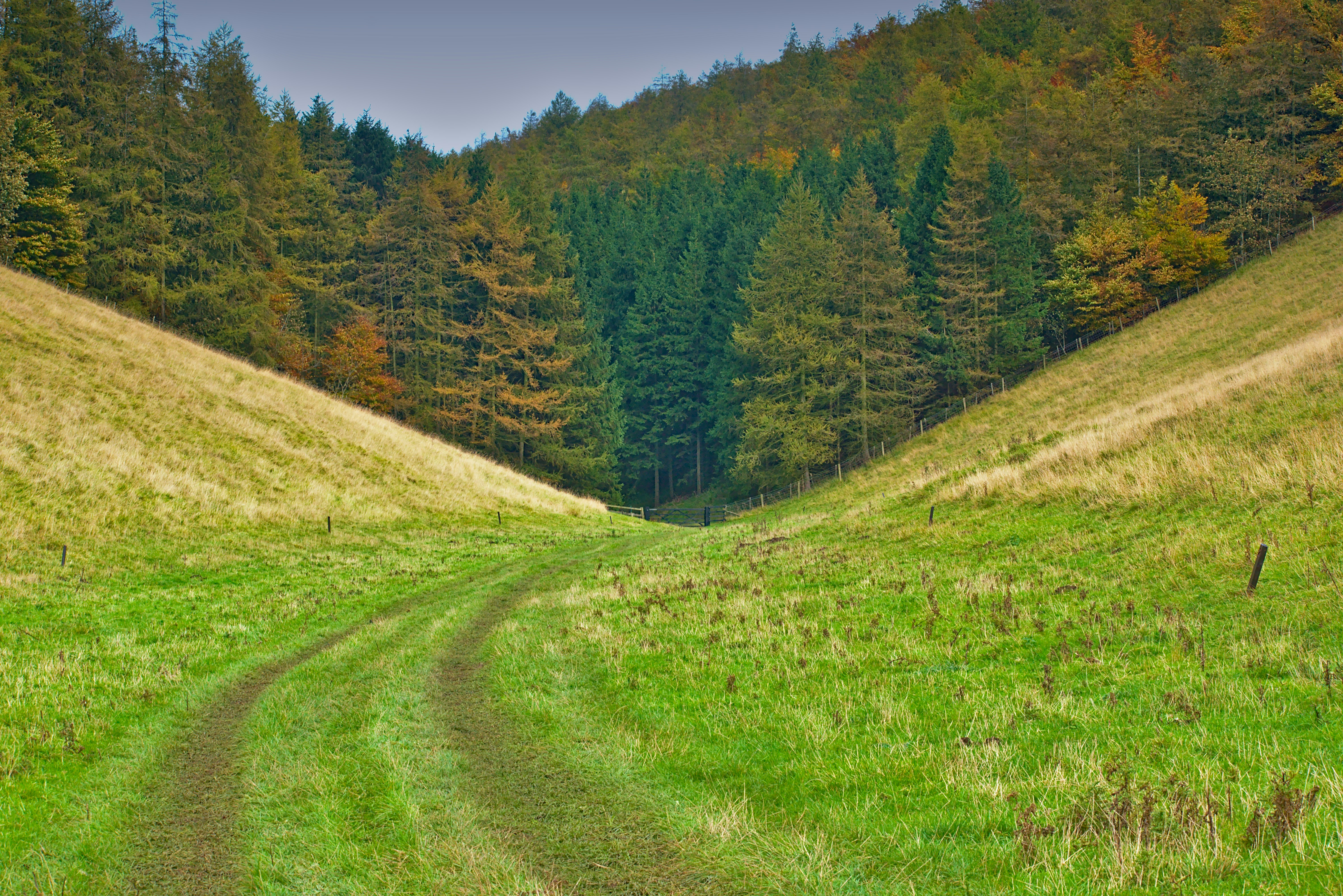 dirt pathway between hill and trees, On a walk in the Wolds