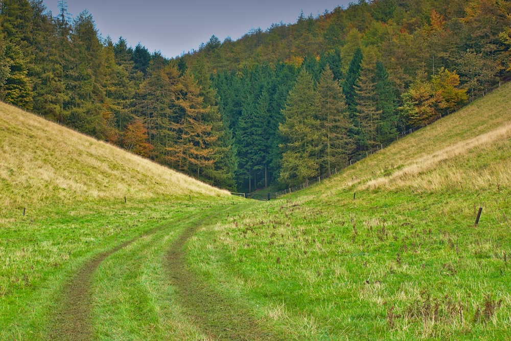 Feldweg zwischen Hügeln und Bäumen