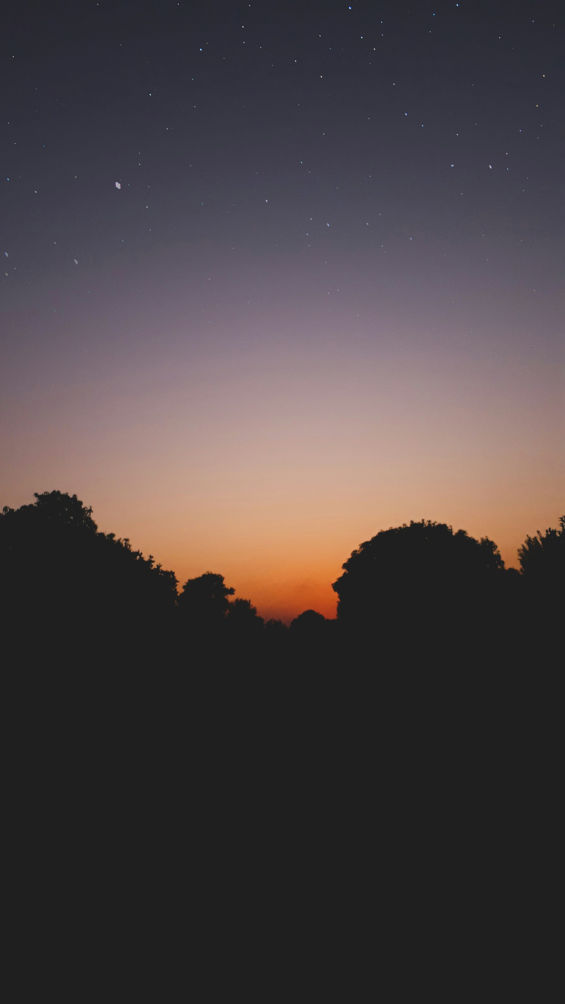 Photo by mrahmadusama