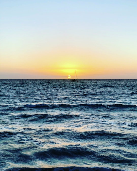 ocean during sunset in Brighton South Australia Australia