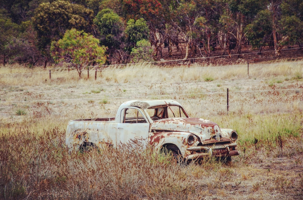 white single cab pickup truck on grass field