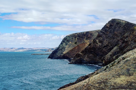 beach and cliffs in Second Valley South Australia Australia