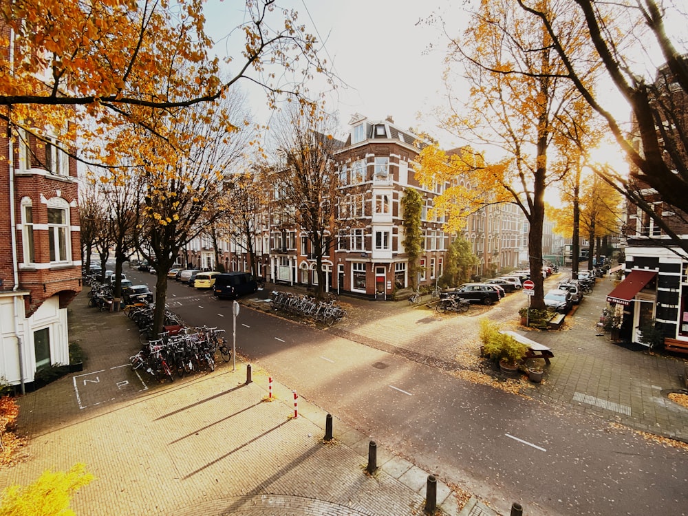 vehicle parked on street