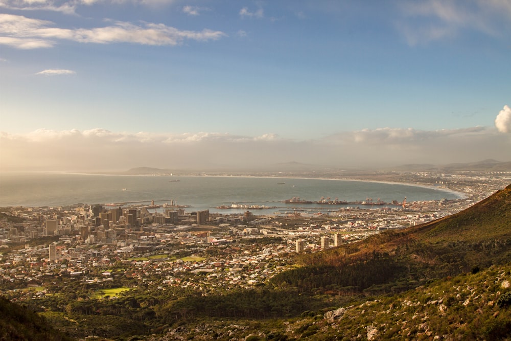 aerial photo of city