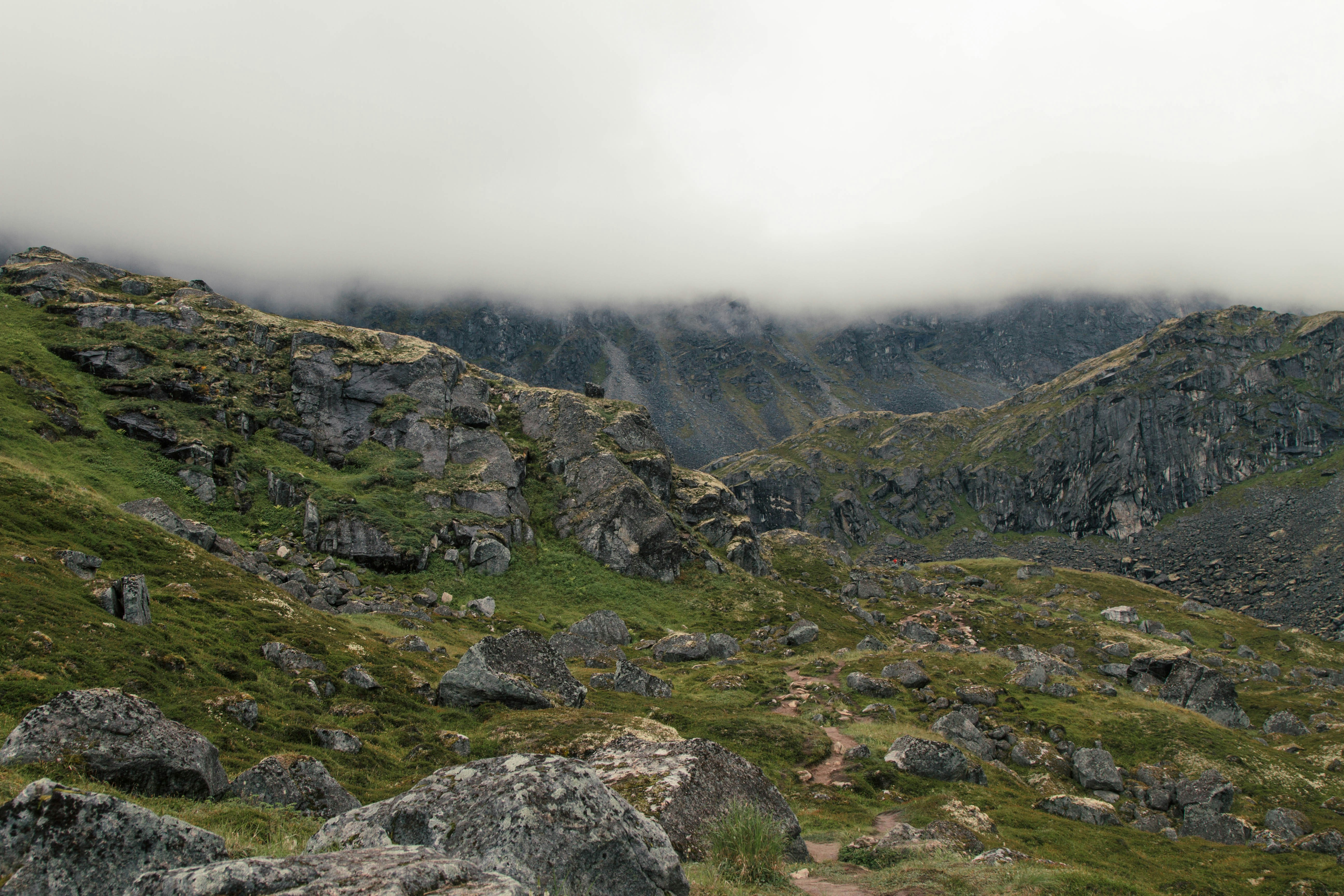 Photo by elijahlychik