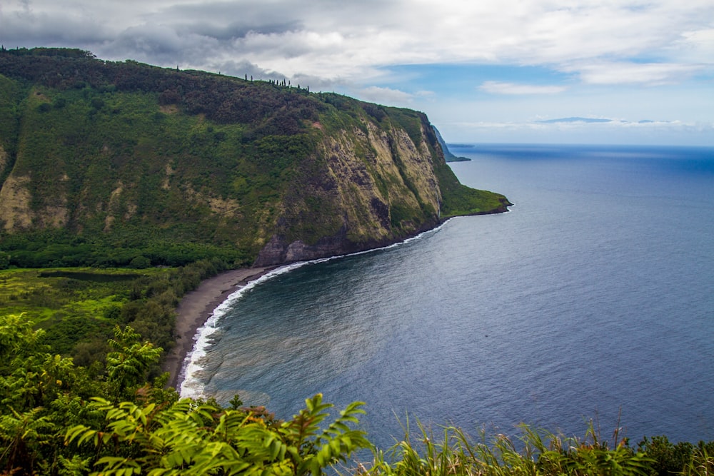 beach beside cliff