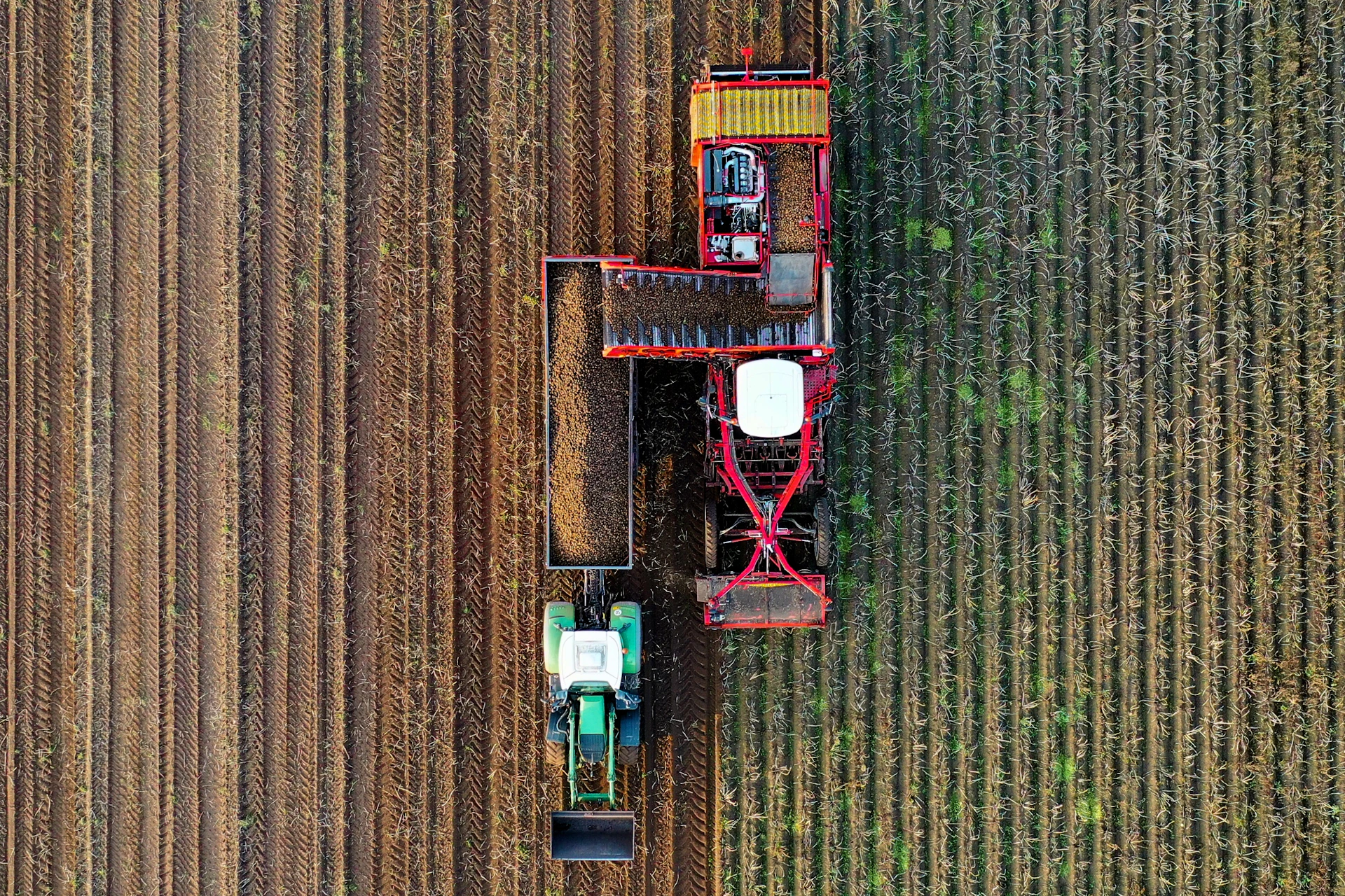 two red and gray trucks on brown field