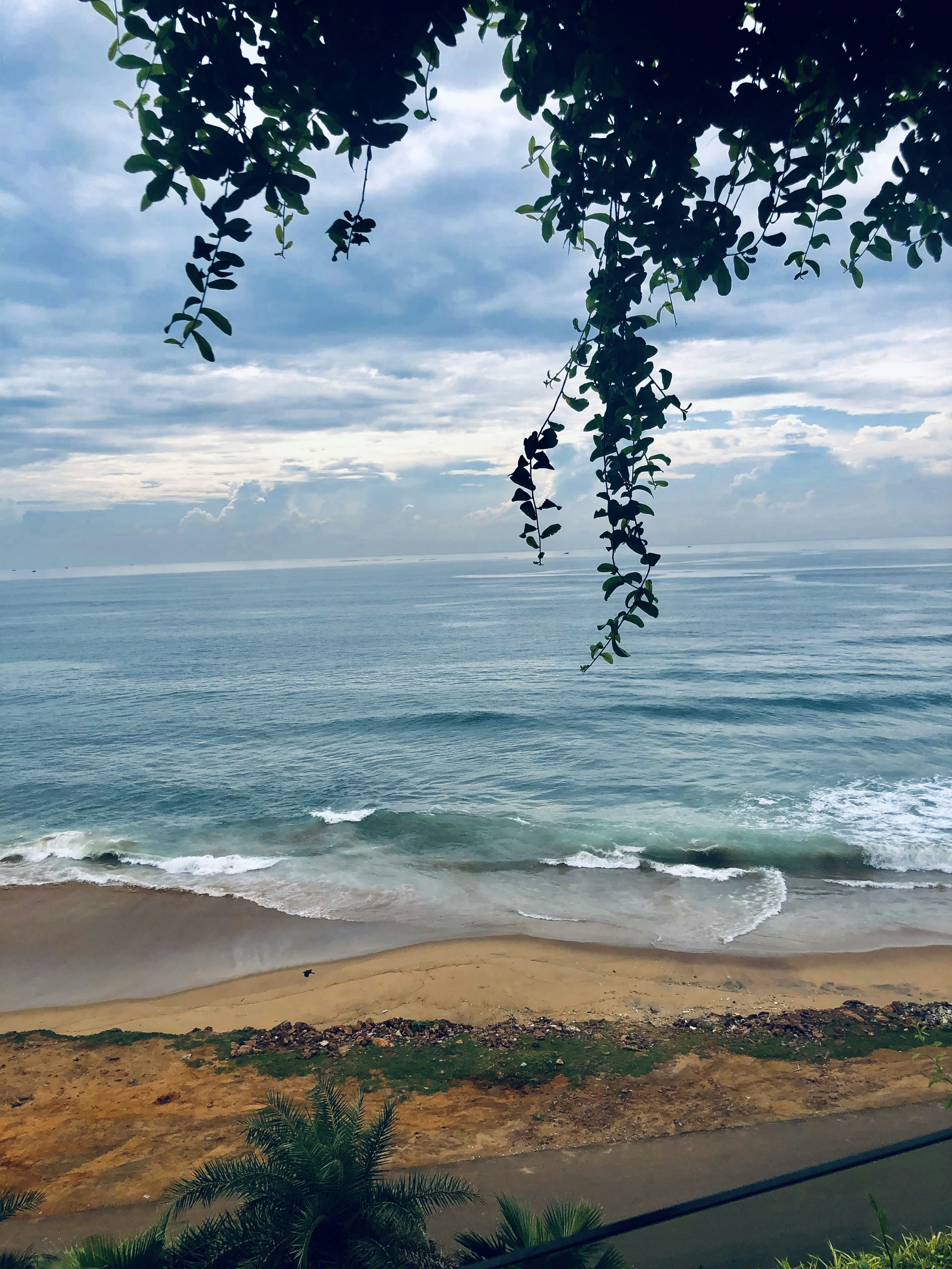 Photo by vidisha_negi