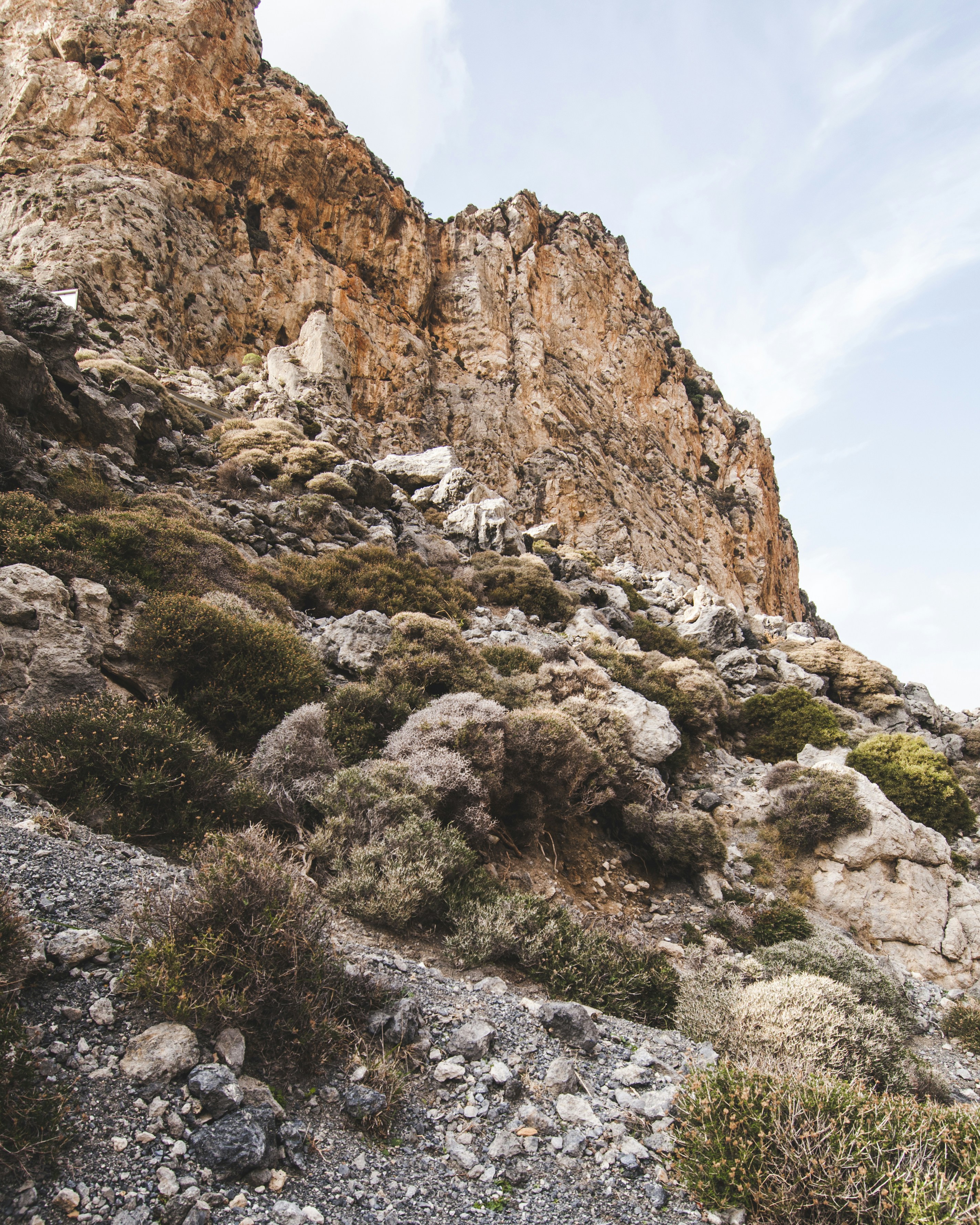 Photo by yuli_superson