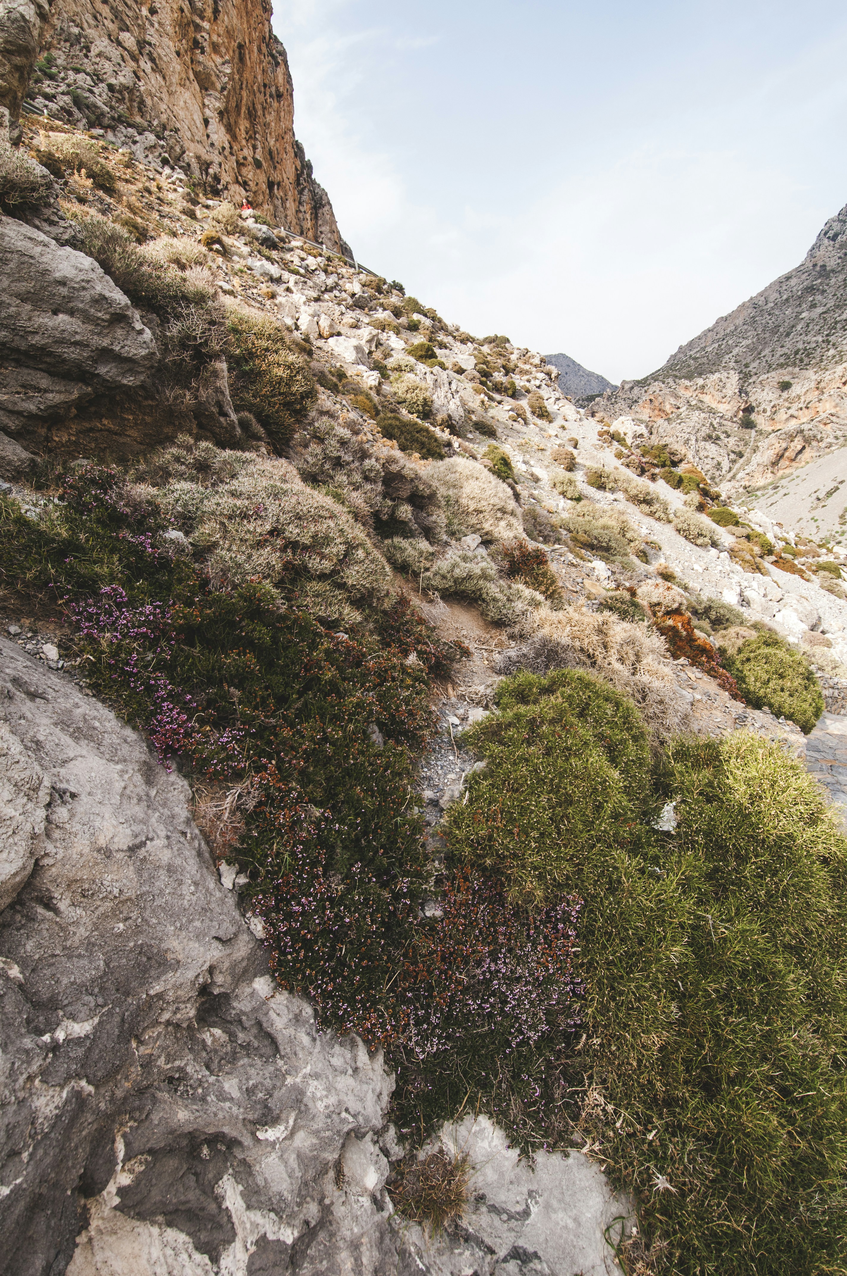 Photo by yuli_superson