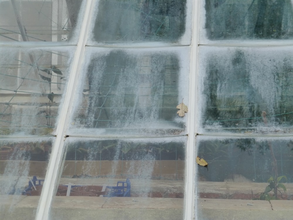 clear glass window panels