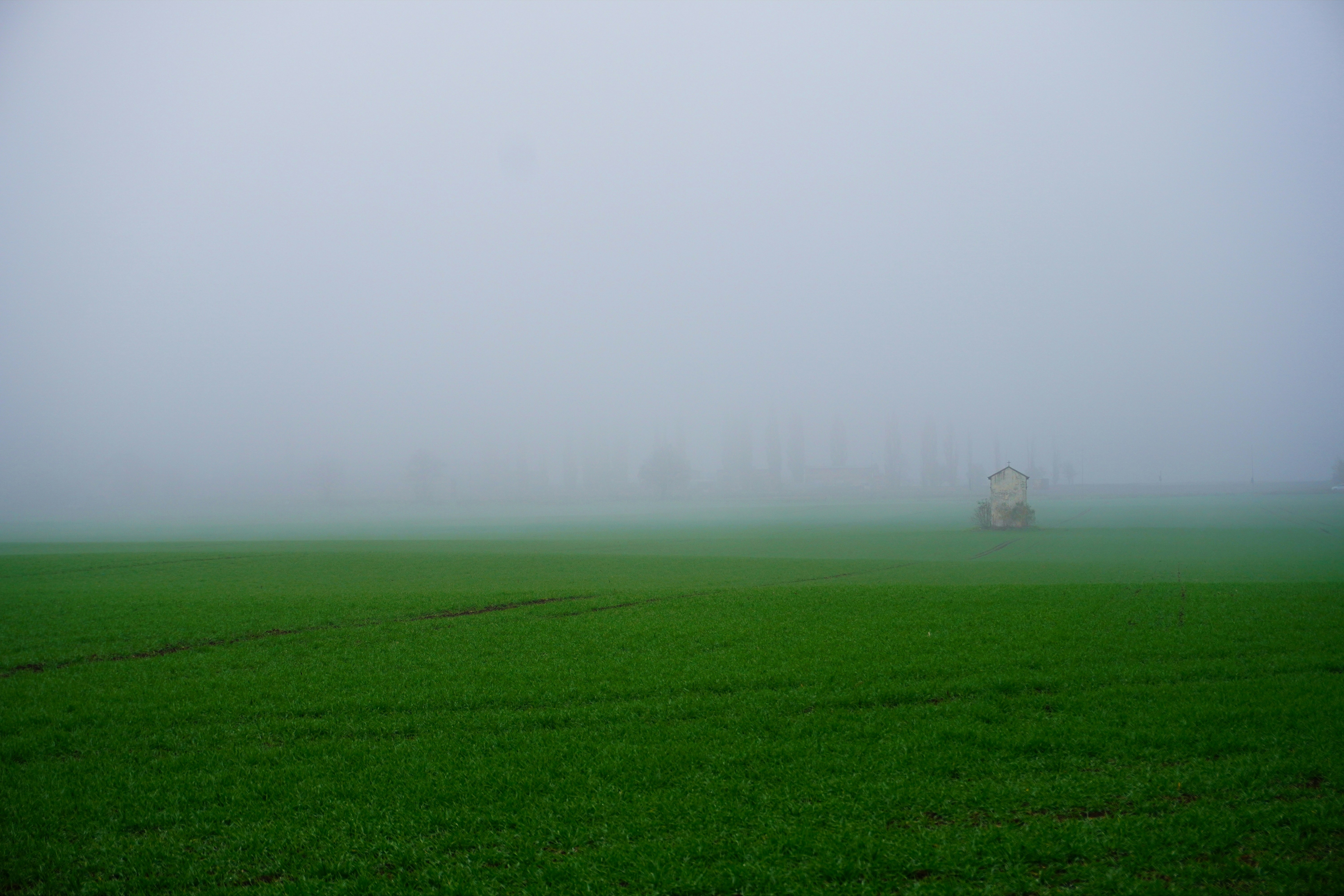Photo by matus_karahuta