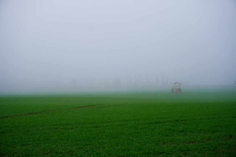 grass field during daytime