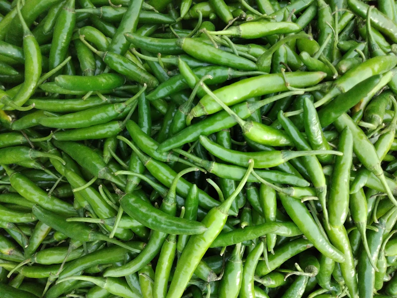Fresh green chili peppers ready for export