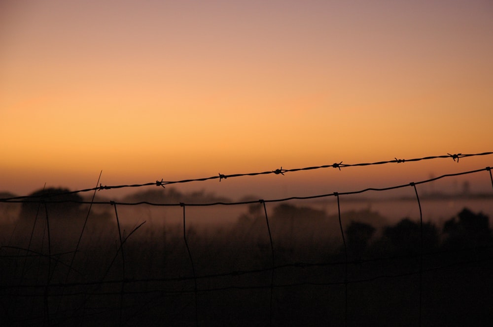 silhouette of barbed wire during golden hour
