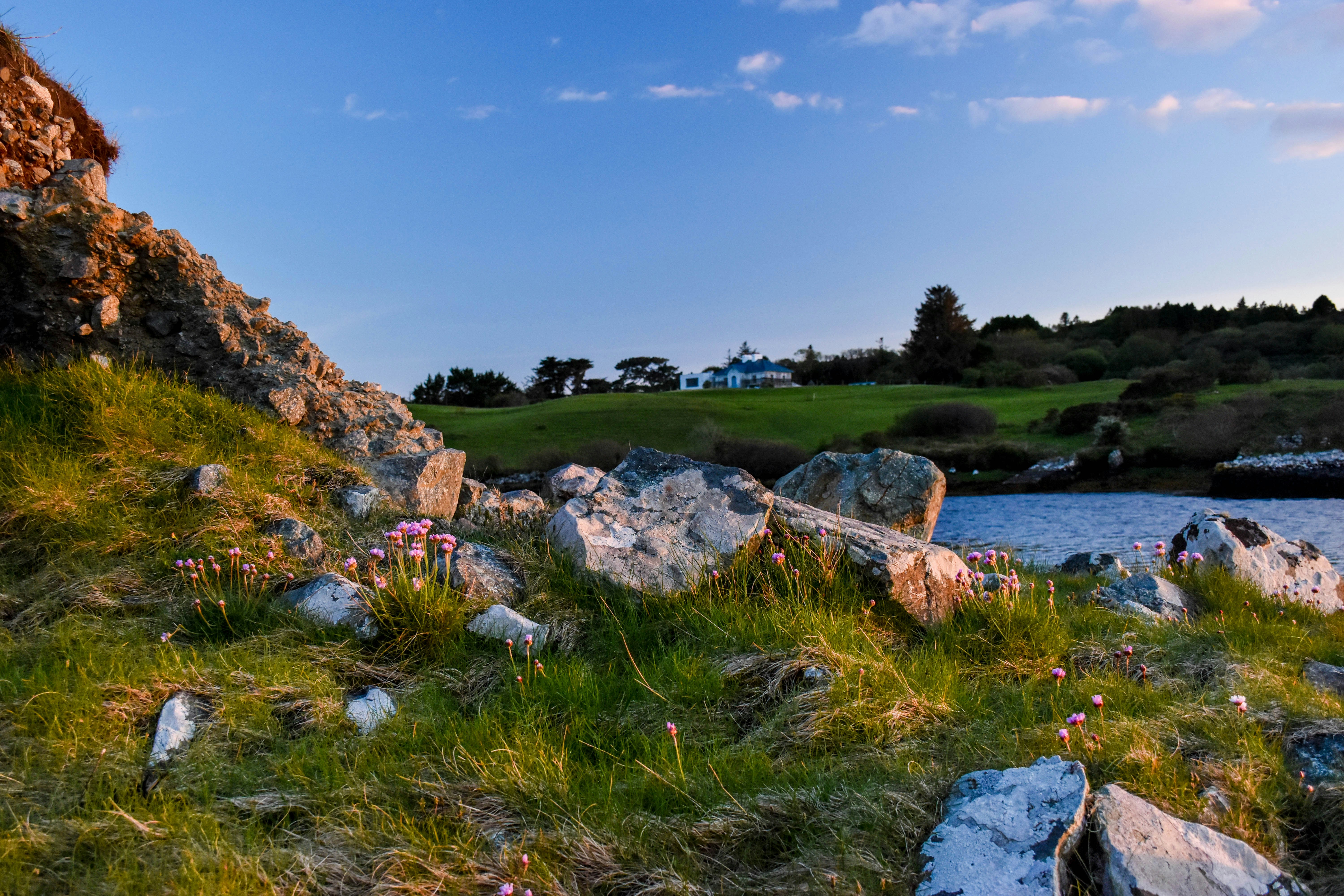 rocks on grass island during day