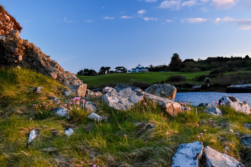 rocks on grass island during day