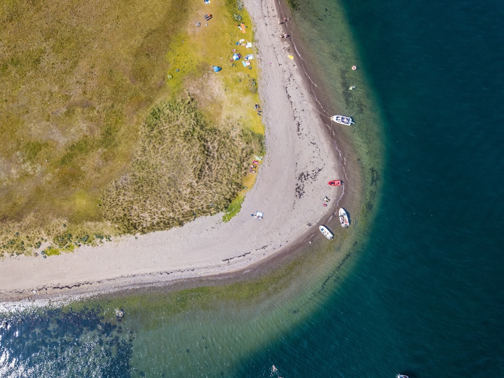 boats docked on shore during day