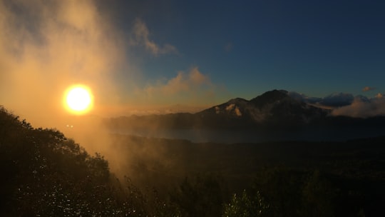 trees on mountain during golden hour in Mount Batur Indonesia