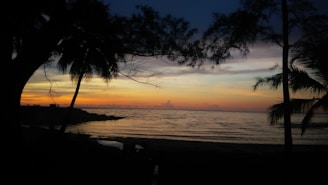 A serene Honolulu coastline view at sunset with palm trees silhouetted against the colorful sky.