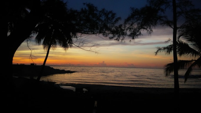A serene Honolulu coastline view at sunset with palm trees silhouetted against the colorful sky.