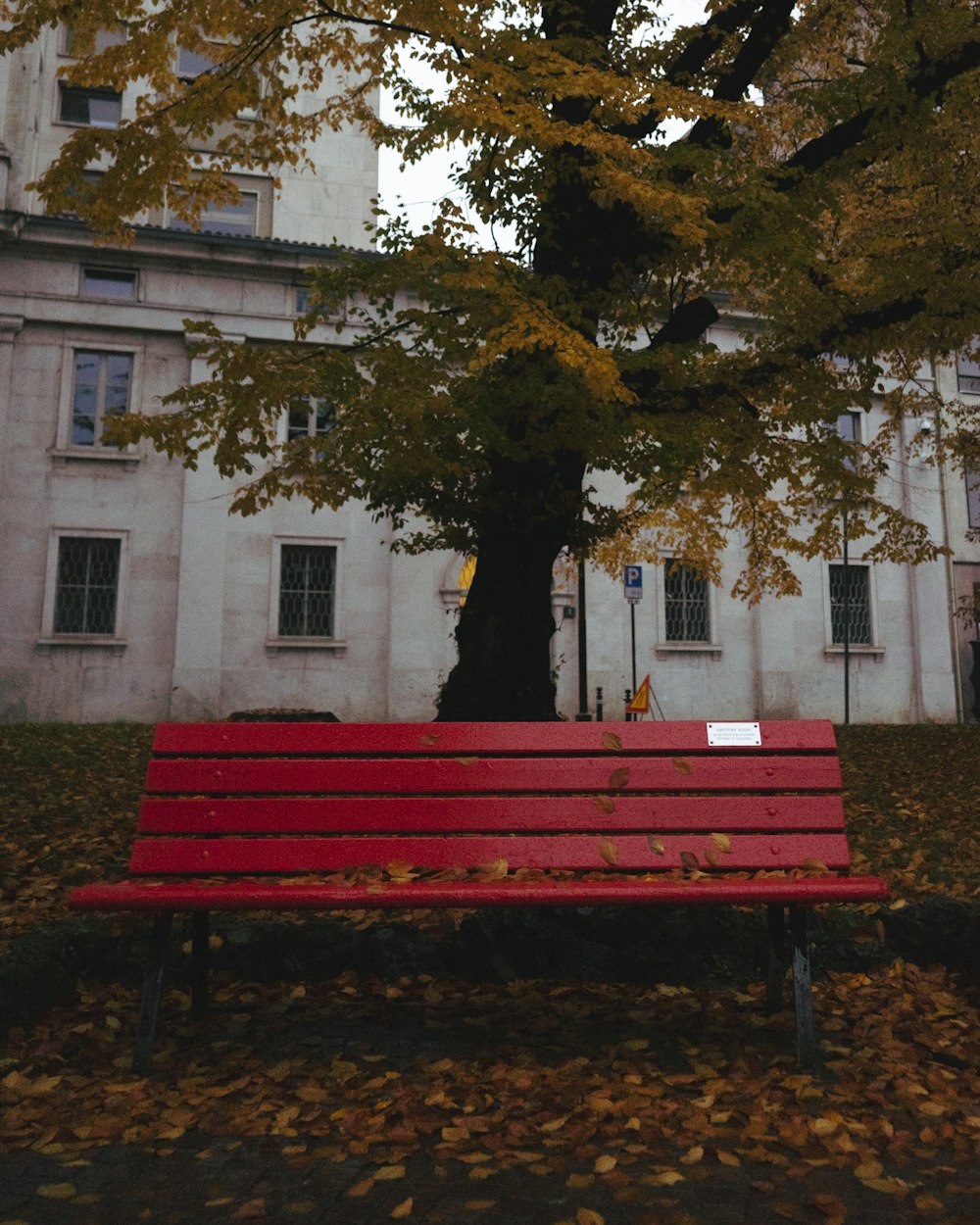 red wooden bench in front of tree