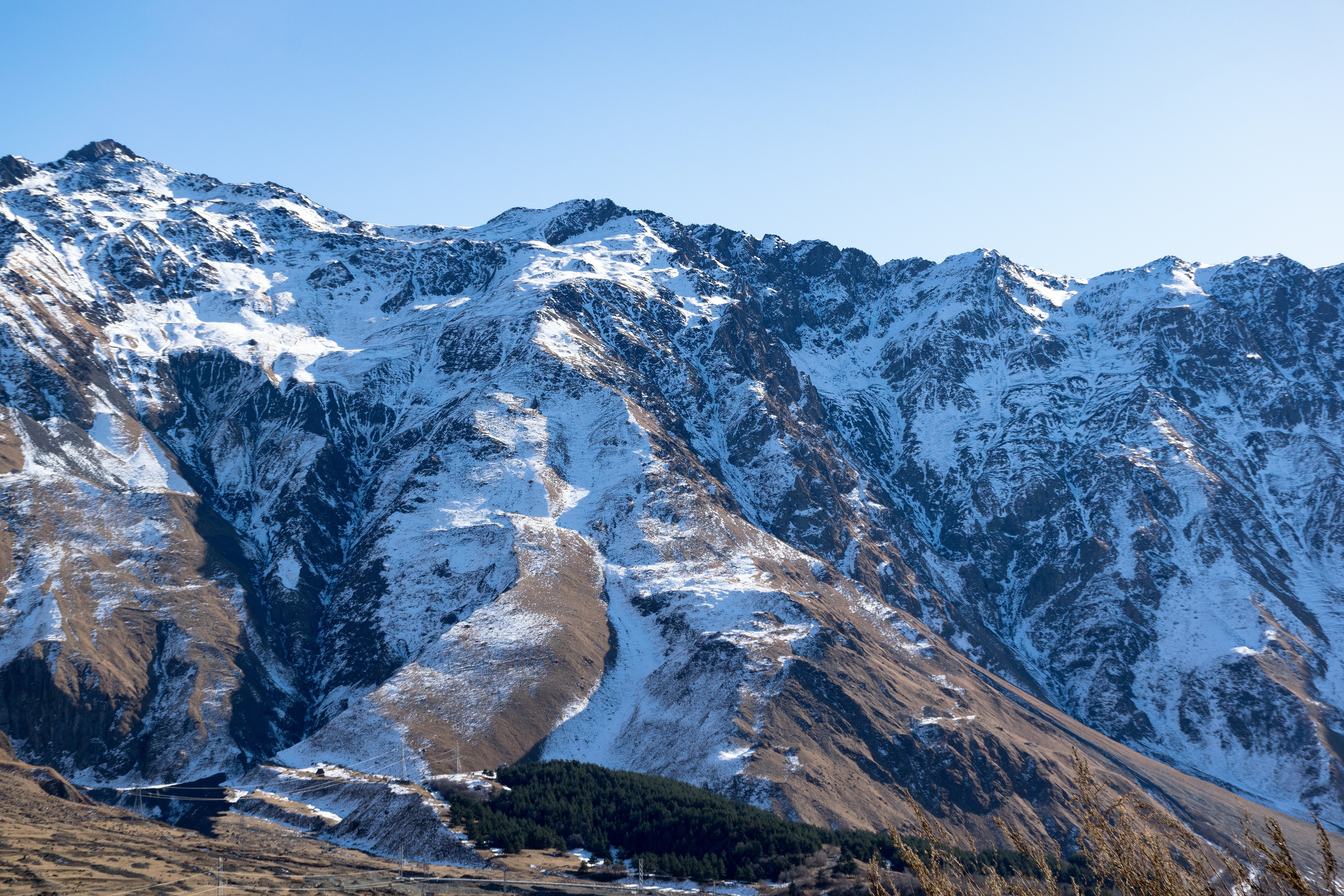 Photo by artcoastdesign