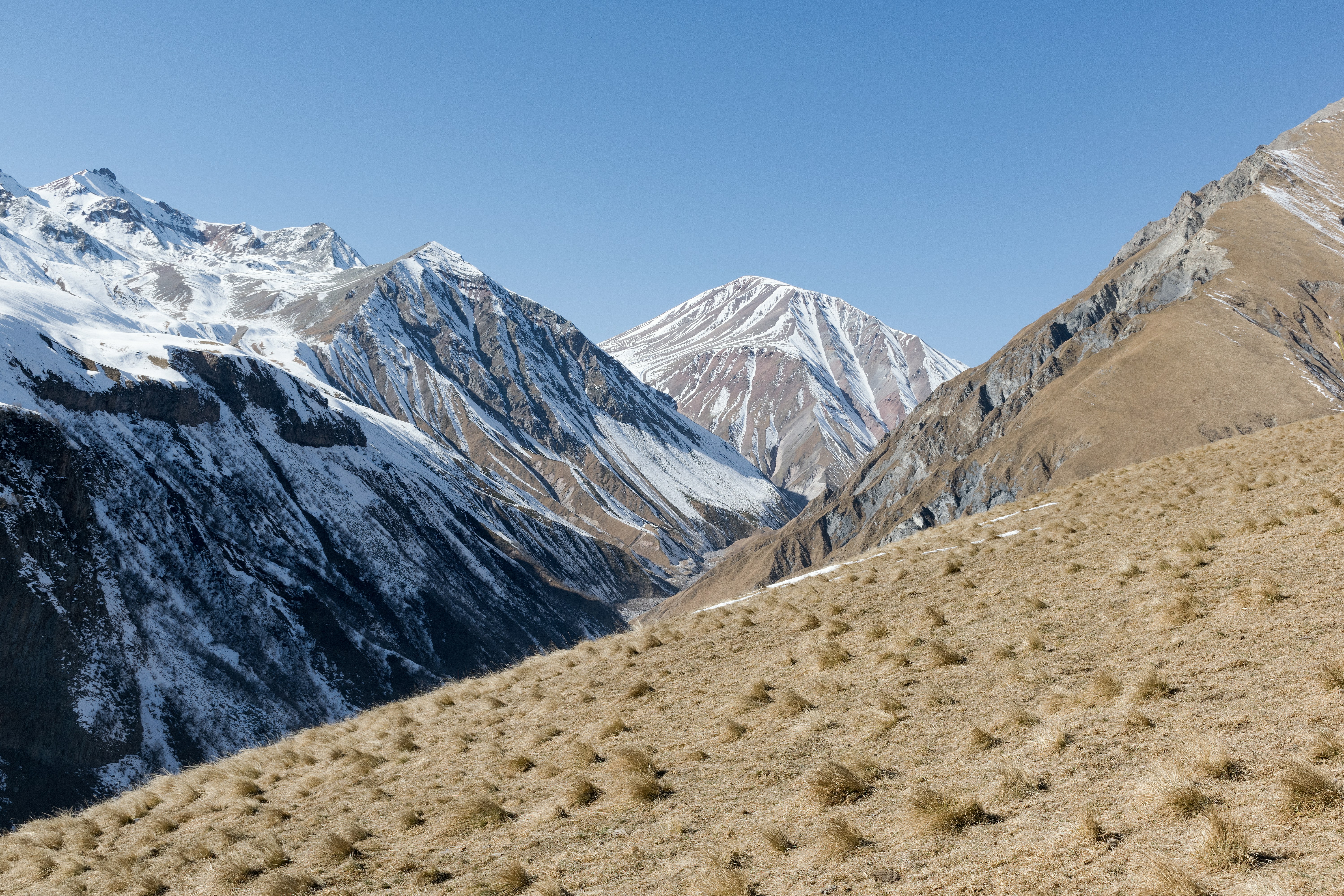 Photo by artcoastdesign