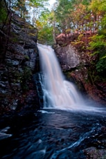 rocky mountain waterfalls near trees