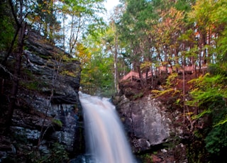 rocky mountain waterfalls near trees