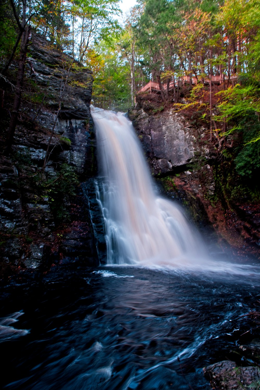 rocky mountain waterfalls near trees