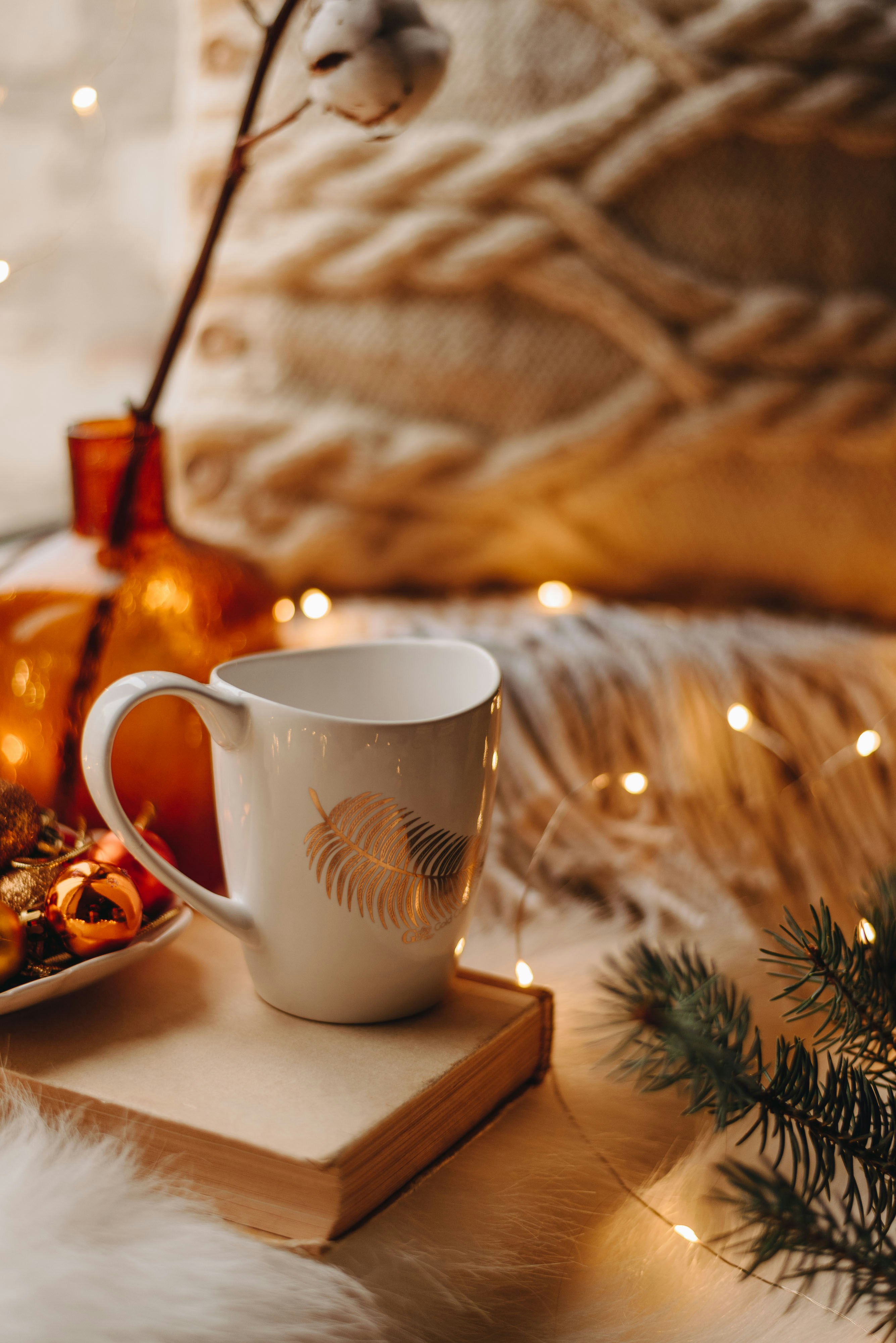 Photo by shadrinaphotography