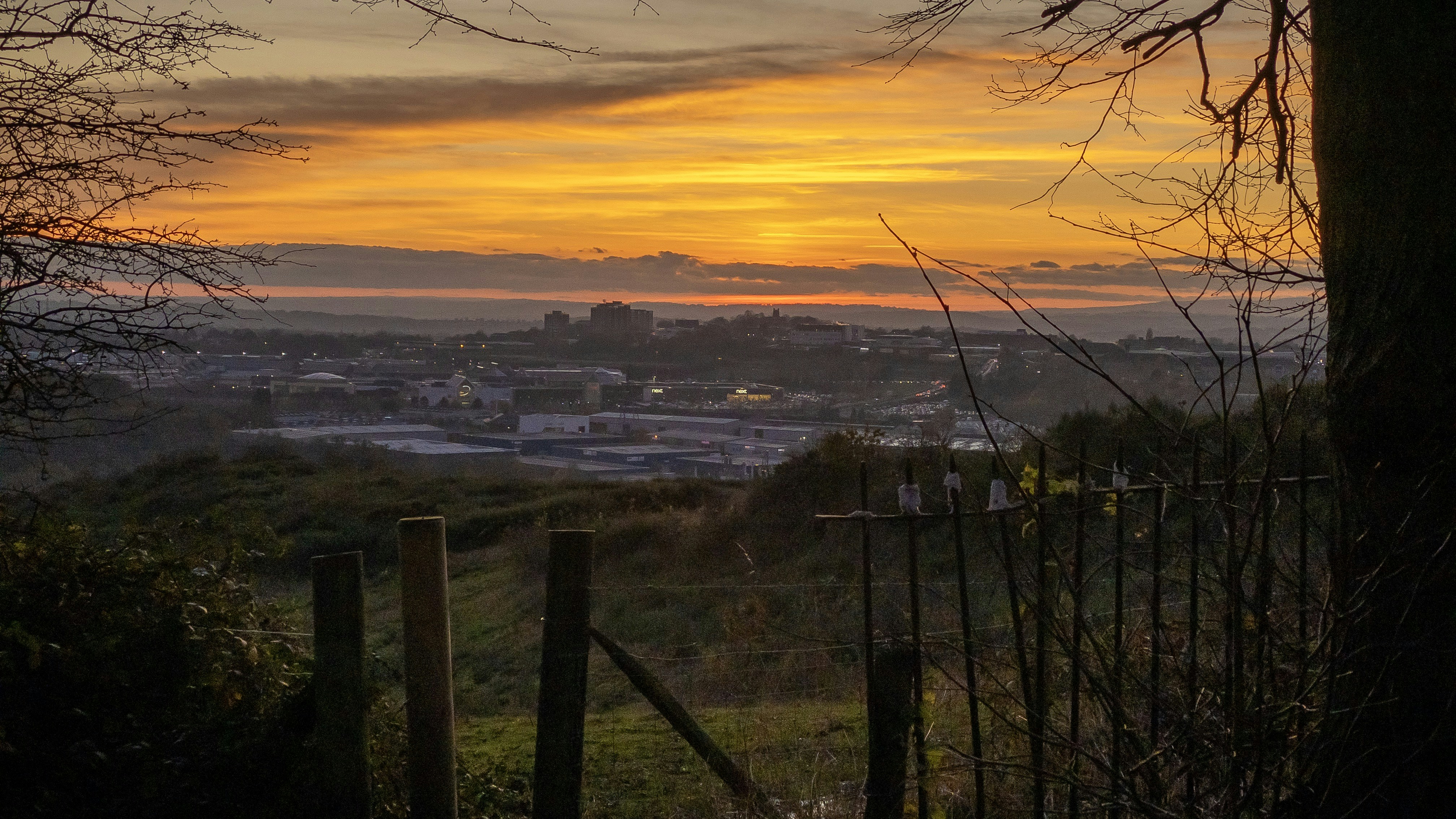 Photo by thedazdanks