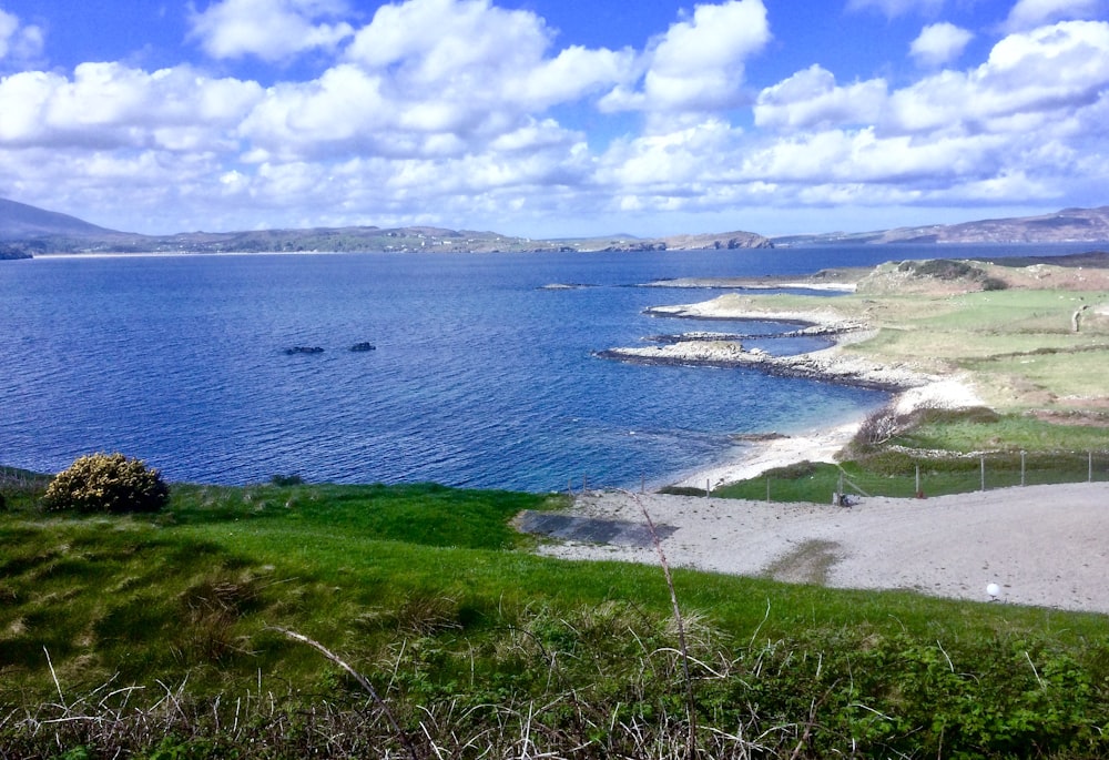 empty shore during daytime