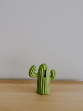 a small green cactus sitting on top of a wooden table