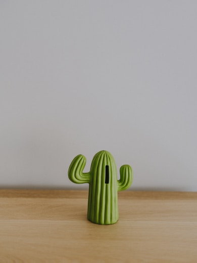 a small green cactus sitting on top of a wooden table