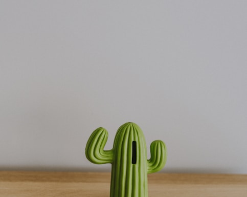 a small green cactus sitting on top of a wooden table